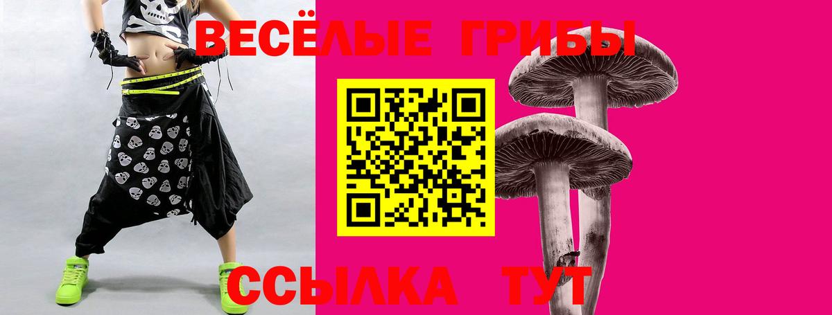 Галлюциногенные грибы Magic Shrooms Владикавказ